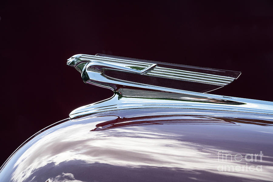 1941 Chevy Hood Ornament Photograph by Dennis Hedberg