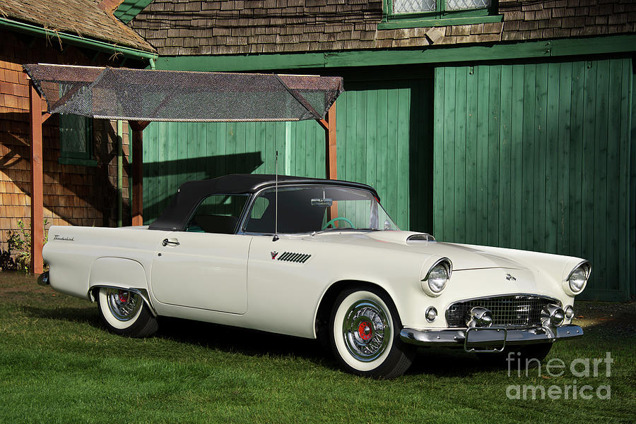 1955 Ford Thunderbird Convertible Photograph by Dave Koontz
