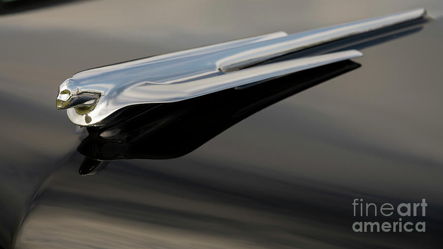 1956 Cadillac Hood Ornament Photograph by Dennis Hedberg
