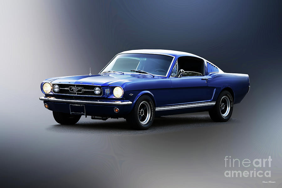 1965 Ford Mustang Fastback Photograph by Dave Koontz