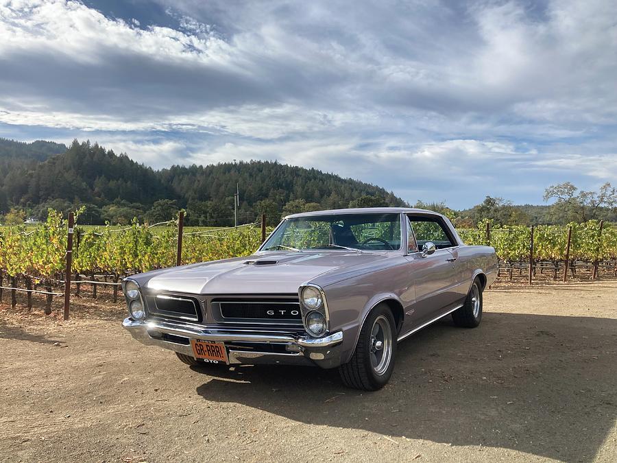 1965 GTO Iris Mist #2 Photograph by Mike Bertolucci - Fine Art America