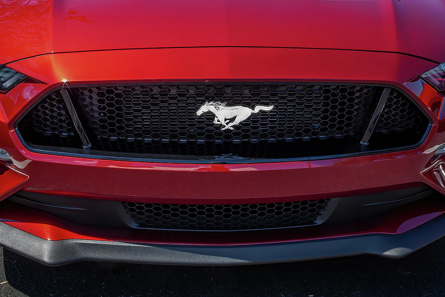 2019 Ford Mustang GT 5.0 X124 #1 Photograph by Rich Franco