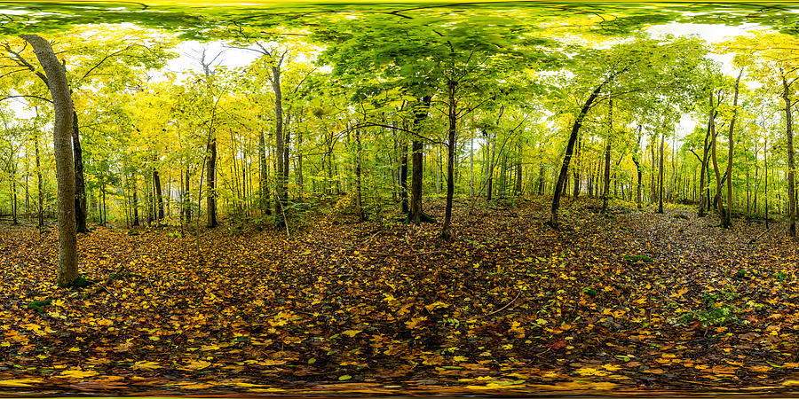 360 degree panorama shot - Autumn in the forest (Norway) #1 Photograph by Baac3nes