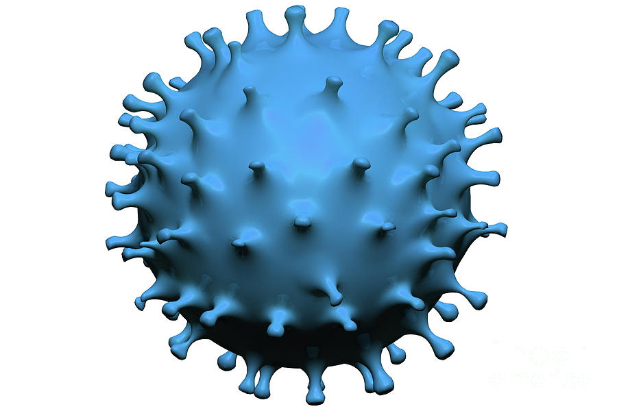 3d Coronavirus virus cell isolated #1 Photograph by Benny Marty