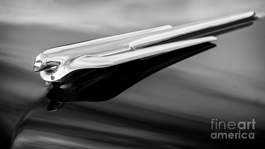 56 Cadillac Hood Ornament #1 Photograph by Dennis Hedberg