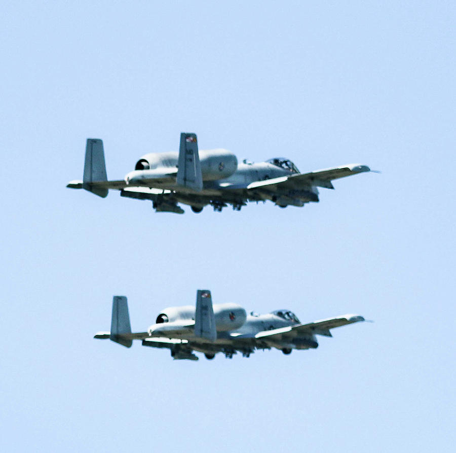 A 10 Warthogs #1 Photograph by Bill Rogers