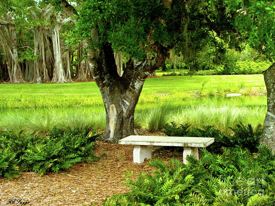 A Bench in the Garden #1 Photograph by Robert Suggs