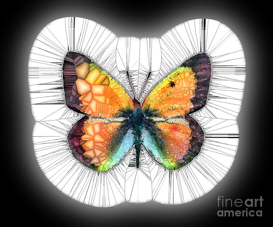 A Butterfly Mosaic of Colors and Spikes Photograph by Wernher Krutein