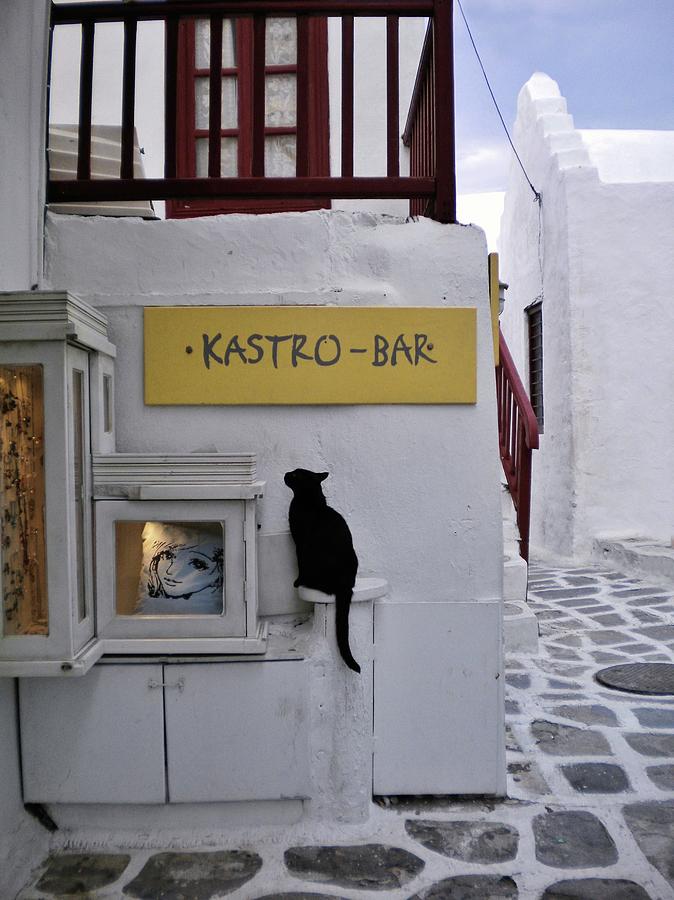 A Curious Cat in Mykonos #1 Photograph by Marilyn MacCrakin