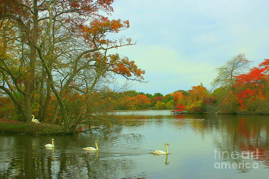 A Day in Autumn at Belmont Lake Photograph by Dora Sofia Caputo