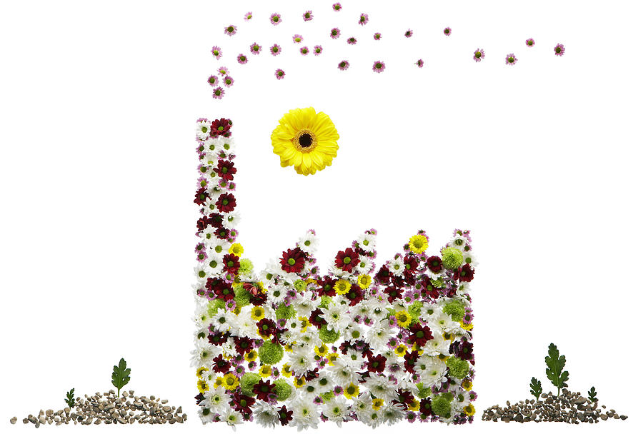 A factory made out of flowers #1 Photograph by David Leahy