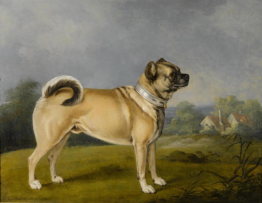 Chalon Painting - A favorite pug by Henry Bernard Chalon