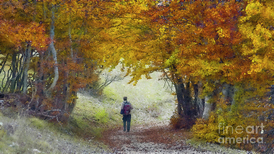 Fall Photograph - A hiker passes under an arch of colorful leaves #1 by Andrea Tessadori