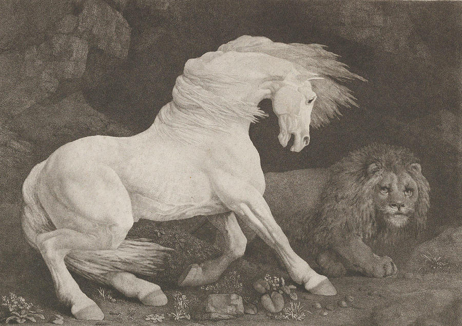 George Stubbs Painting - A Horse Affrighted at a Lion  #1 by George Stubbs