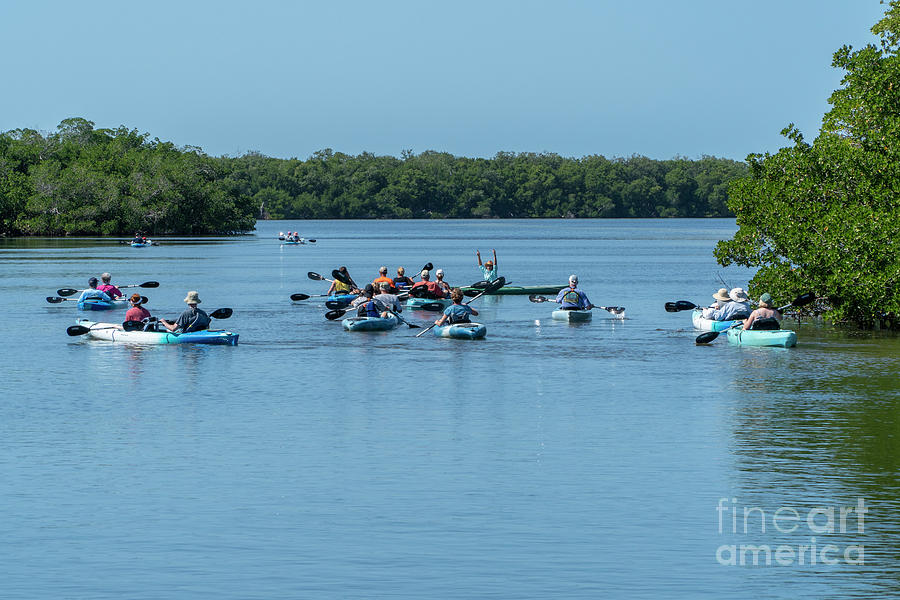 A kayak tour guide gathers her group in the Tarpon Bay area of D #1 Photograph by William Kuta