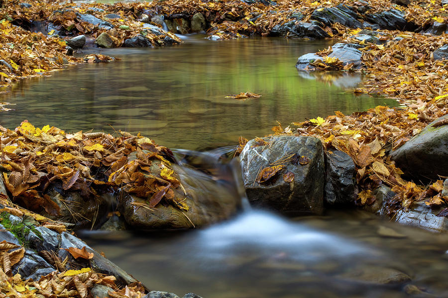A little cascade in the Carpathian Mountains in fall season Photograph by Sebastian Radu A little cascade in the Carpathian Mountains in fall season Photograph by Sebastian Radu