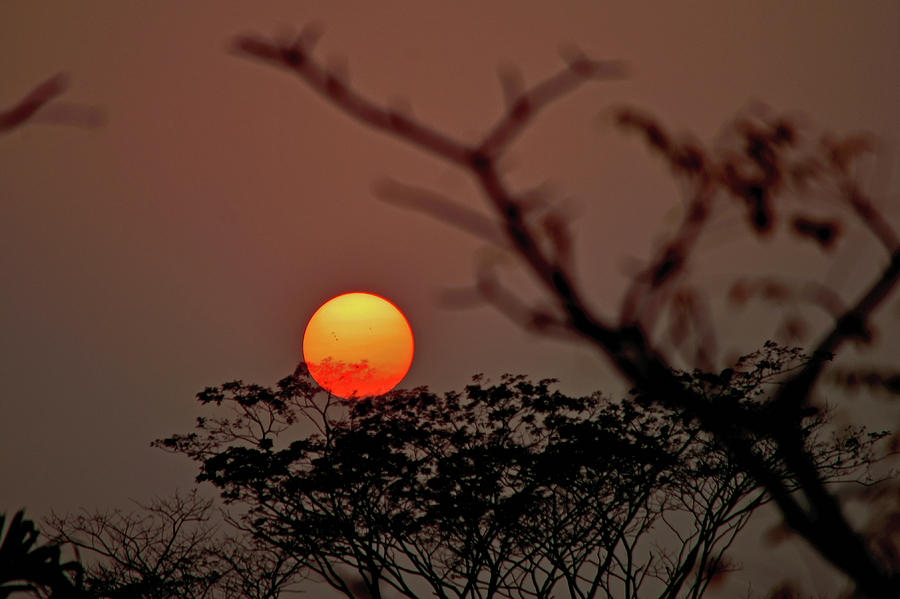 A Rural Sunset - Bangladesh #1 Photograph by Amazing Action Photo Video