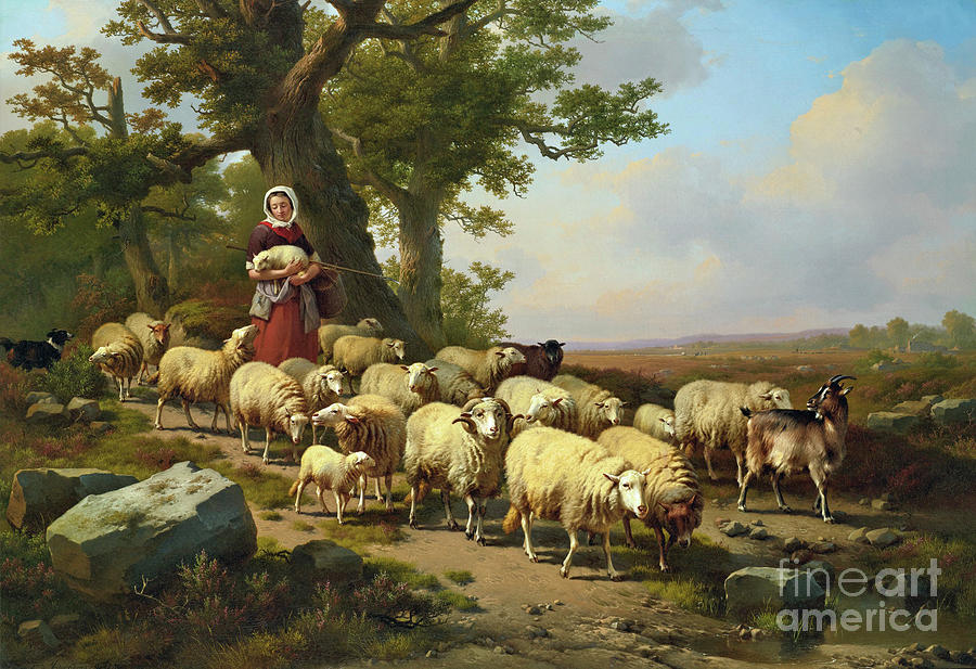 A Shepherdess with Her Flock #1 Painting by Eugene Verboeckhoven