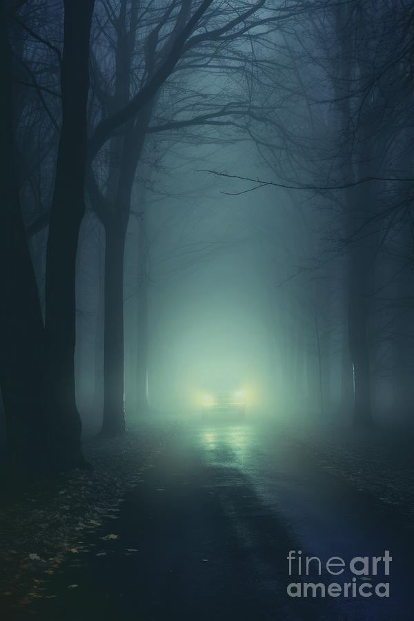 A Solitary Car On A Tree-lined Avenue At Night In Fog #1 Digital Art by Lee Avison