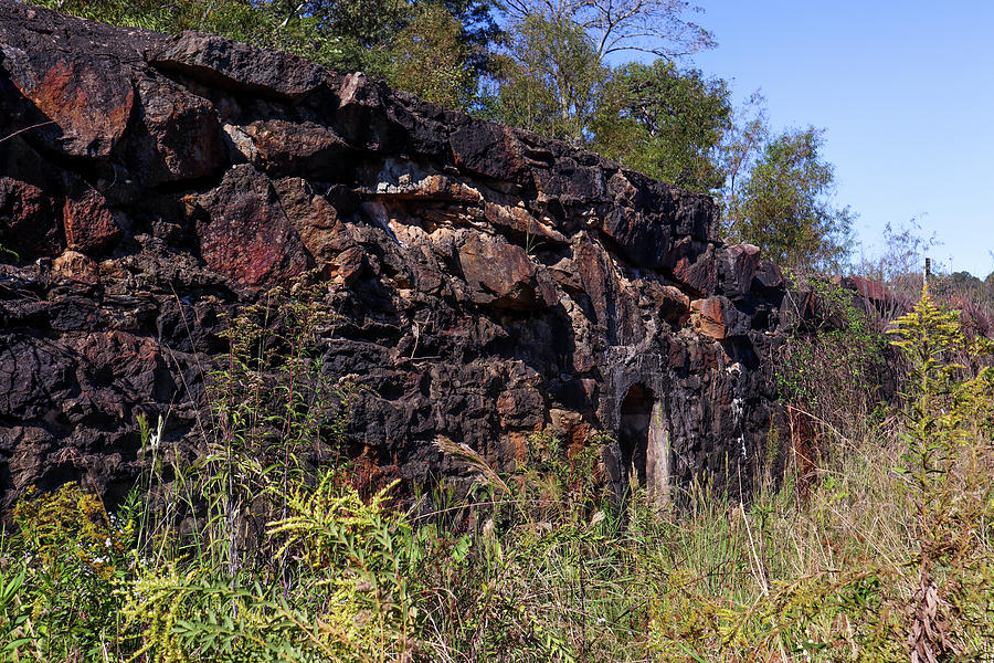 A Southern Rock Wall Photograph by Ed Williams