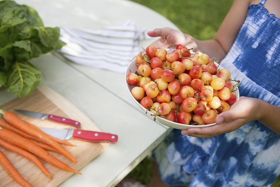 A summer family gathering at a farm. A child carrying a bowl of fresh picked cherries to a buffet table. #1 Photograph by Mint Images - Bill Miles