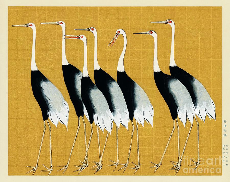 A traditional portrait of a flock of beautiful Japanese red crown crane by Ogata Korin 1658-1716 #1 Painting by Shop Ability