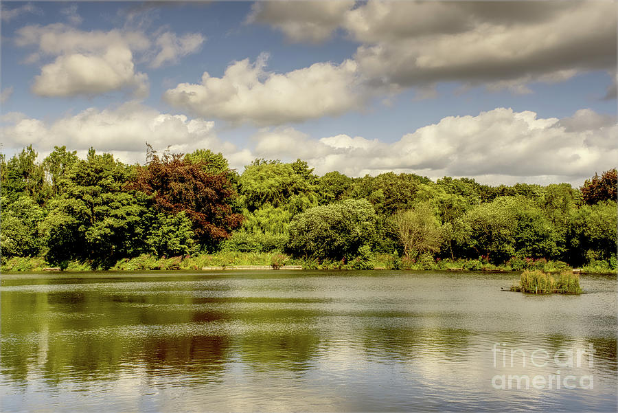 A View Across The Fishing Lake, Alkington Woods, Manchester, Uk Photograph