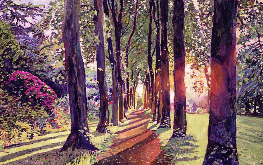 A Walk In The Forest #1 Painting by David Lloyd Glover