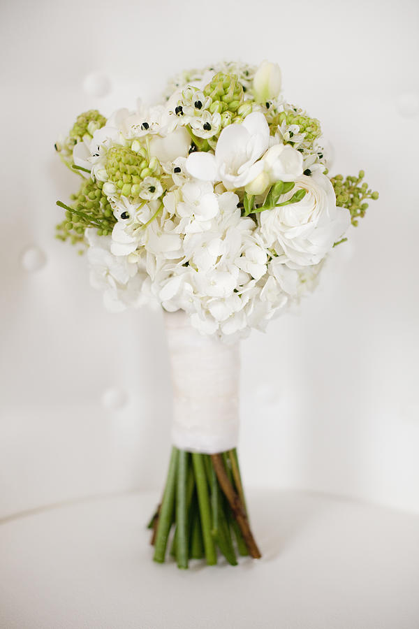 A wedding bouquet. White cut flowers, green seed heads, and foliage. Green stems and white ribbon. #1 Photograph by Mint Images - Britt Chudleigh