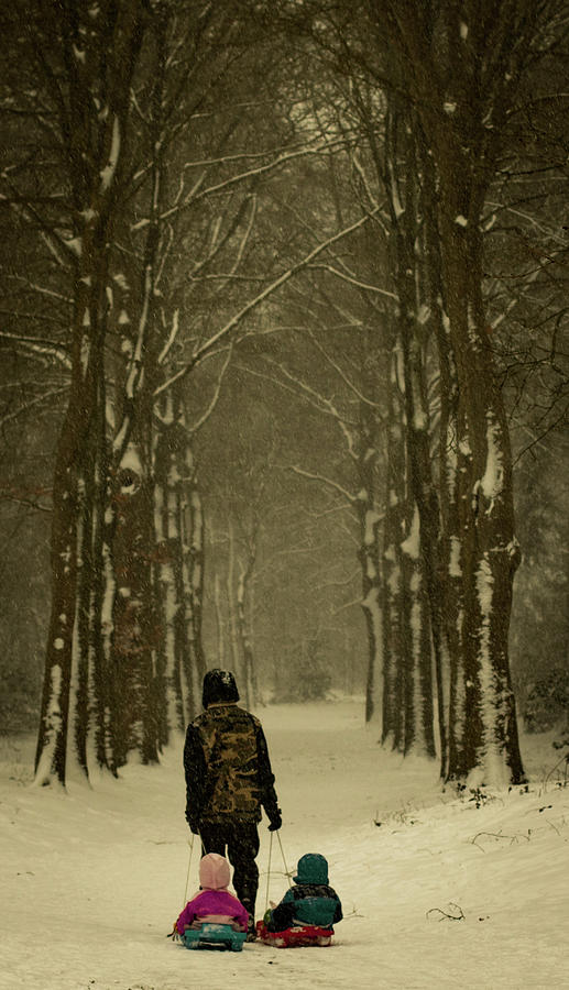 Winter Photograph - A winter walk #2 by Anita Gendt van