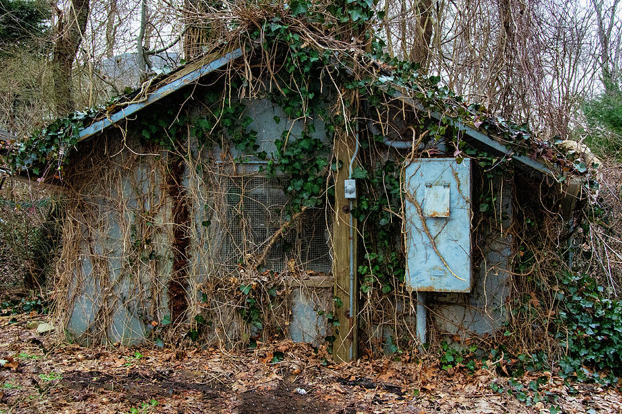 Abandoned #1 Photograph by Cathy Kovarik