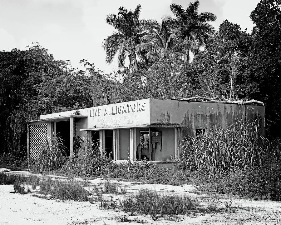 Abandoned Everglades Gatorland - BW #1 Photograph by Chris Andruskiewicz