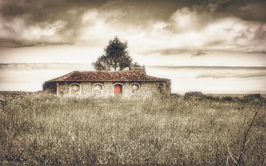 Abandoned Country House in Azores Grasslands Photograph by Marco Sales