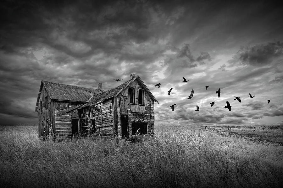 Abandoned Farm House with a Flock of Black Crows under a Stormy  #1 Photograph by Randall Nyhof