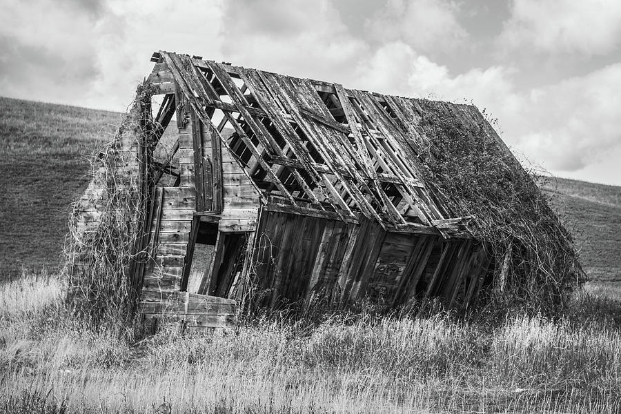 Abandoned House #1 Photograph by Catherine Avilez