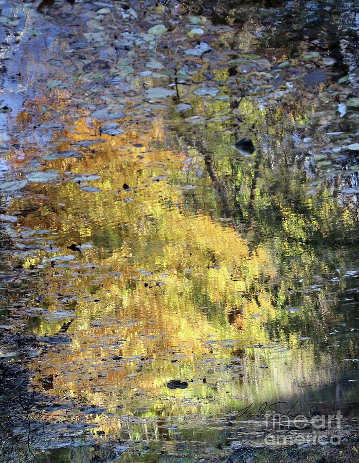 Abstract creek 23 #1 Photograph by Fred Sheridan