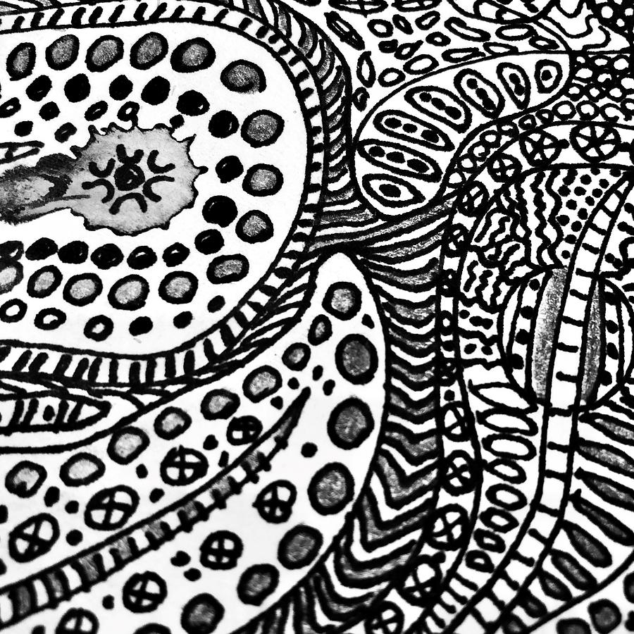 Abstract in Black ink drawing #1 Drawing by Cristina Stefan