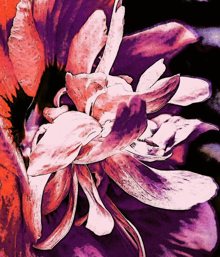 Abstract Pink Flower #1 Digital Art by Loraine Yaffe