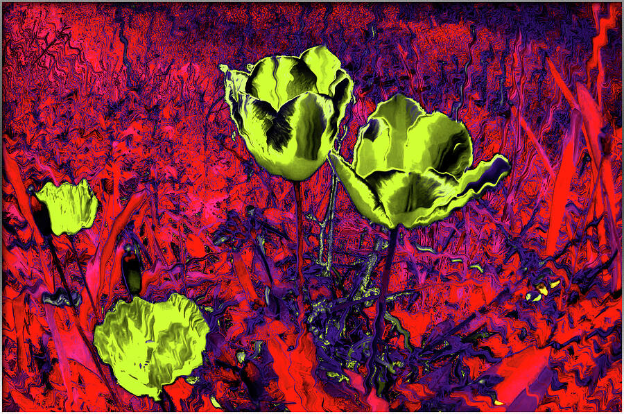 Abstract Digital Art - Abstract, Poppies #1 by Derek Oldfield