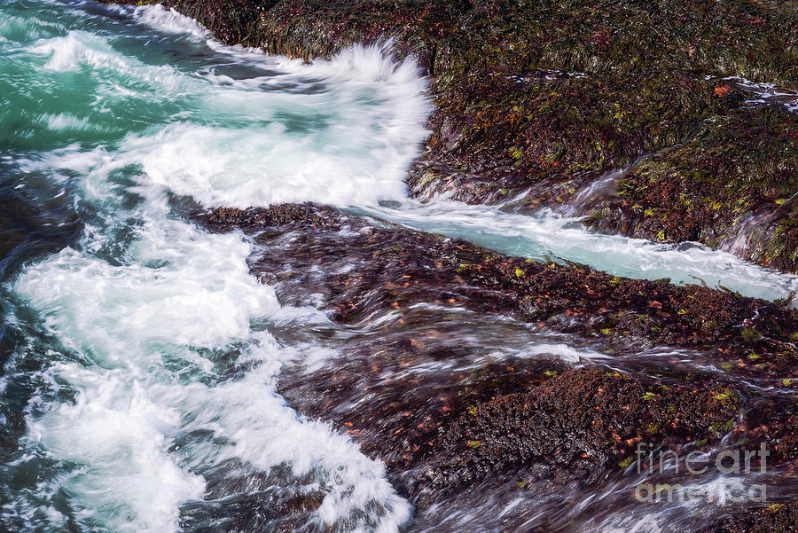 Acadia Surf by Sharon Seaward Acadia Surf by Sharon Seaward