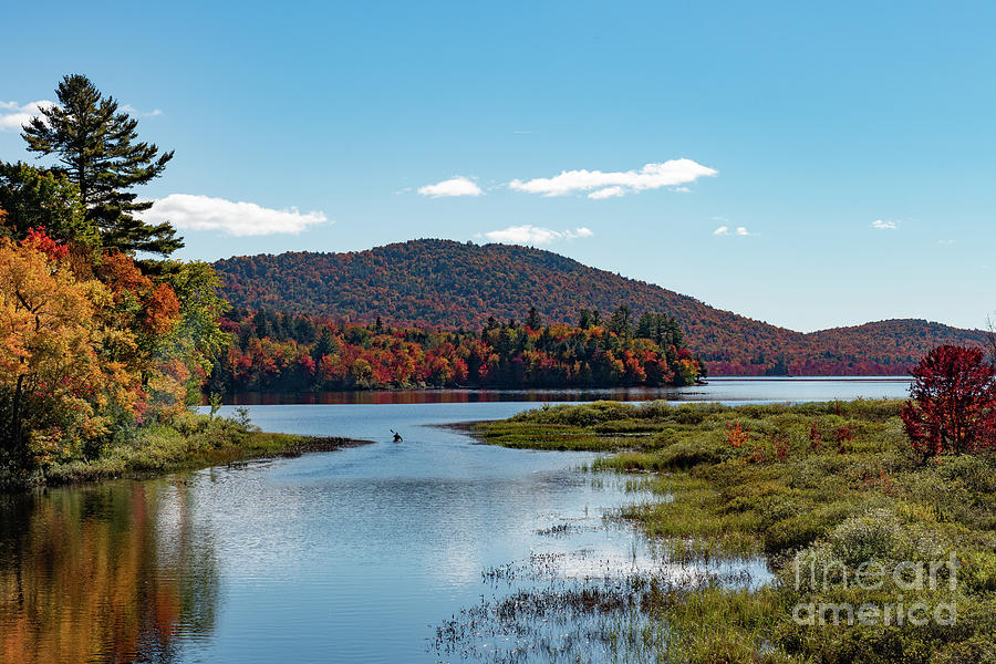 Adirondack Autumn Photograph by Dave Nelson - Fine Art America