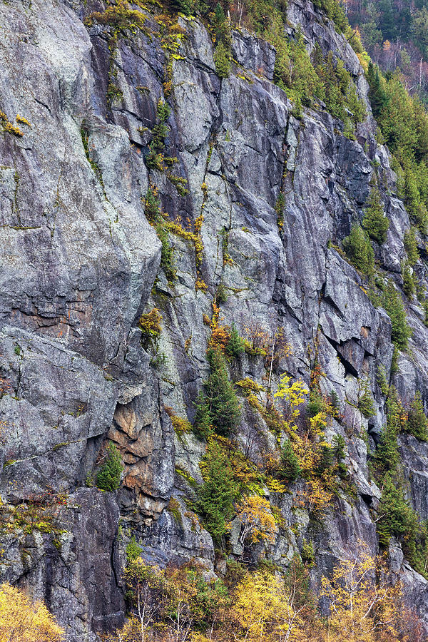 Adirondack Cliffside #1 Photograph by Dave Niedbala