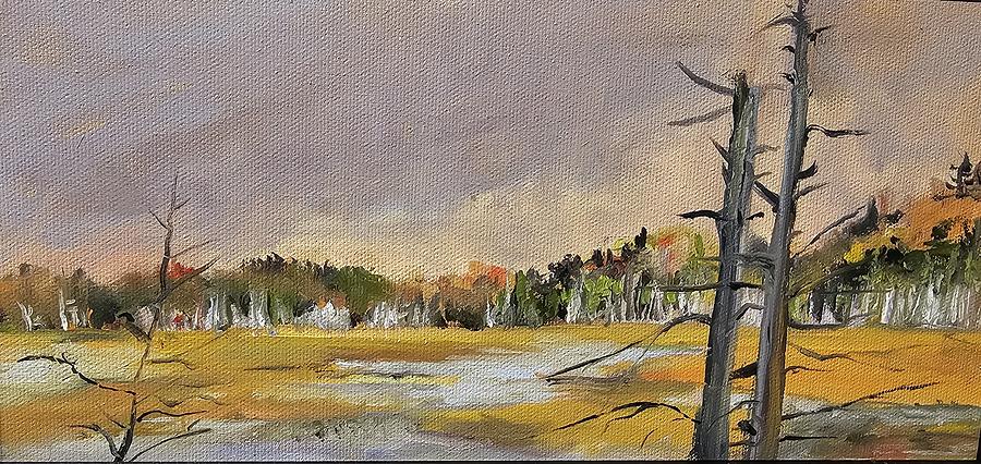 Adirondack marsh #1 Painting by Cheryl LaBahn Simeone