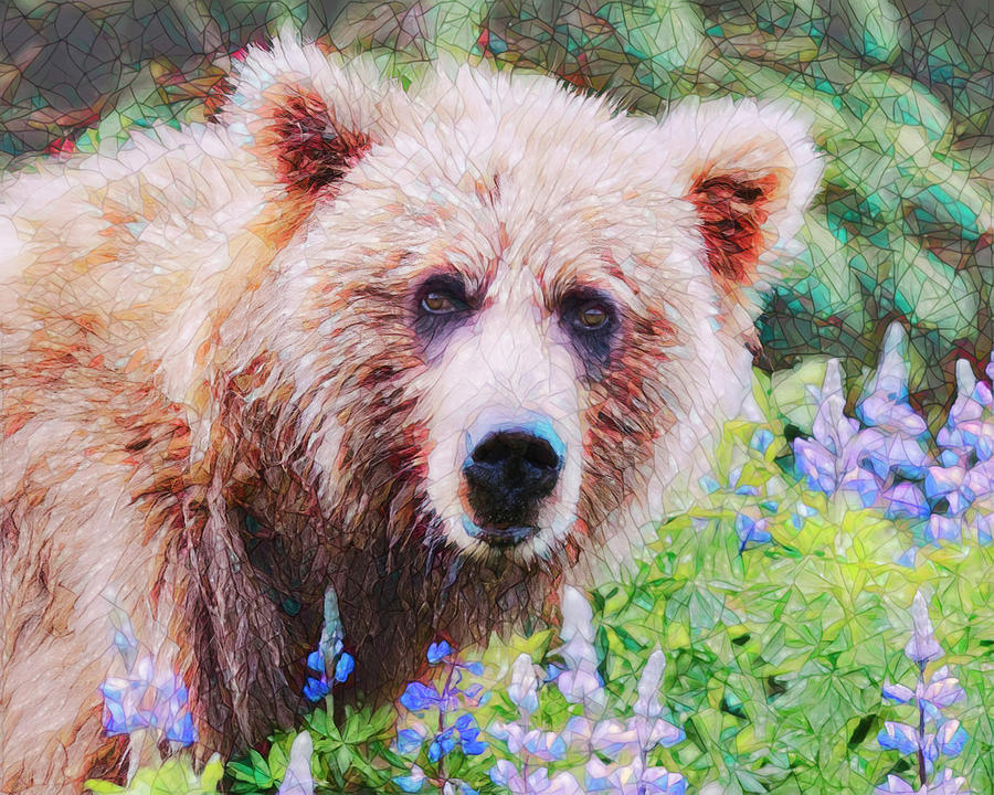 Brown Bear Among the Lupin, Direct Stare Photograph by Belinda Greb