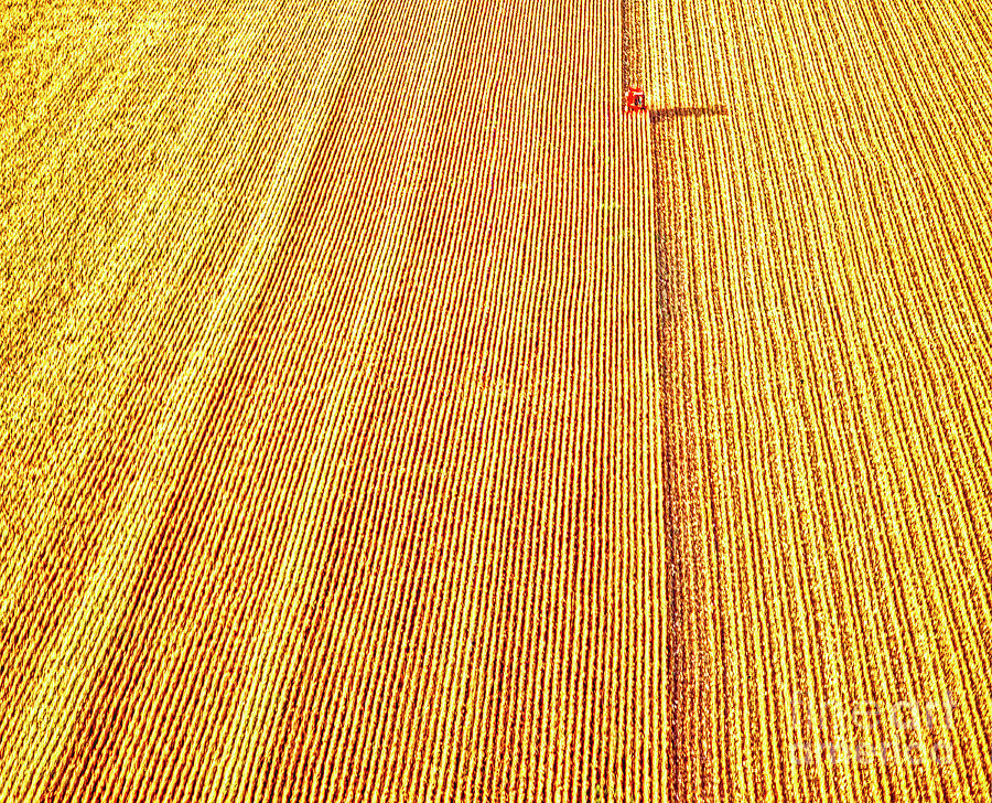 Aerial Red Combine Harvesting crop  #1 Photograph by Tom Jelen