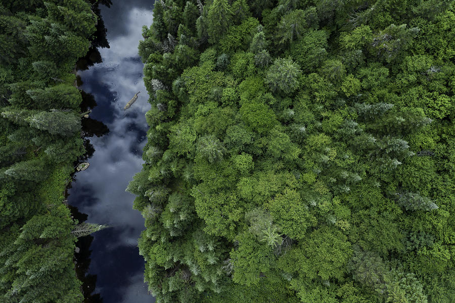 Aerial View of Boreal Nature Forest and River in Summer Photograph by Onfokus