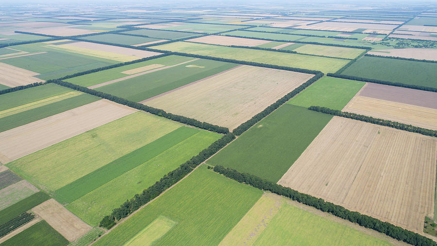 Agriculture Photograph - Aerial view of fields with various types of agriculture. by Michael Dechev Agriculture Photograph - Aerial view of fields with various types of agriculture. by Michael Dechev