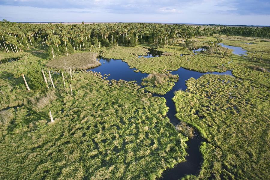 Aerial view of Florida Everglades #1 Photograph by Jupiterimages