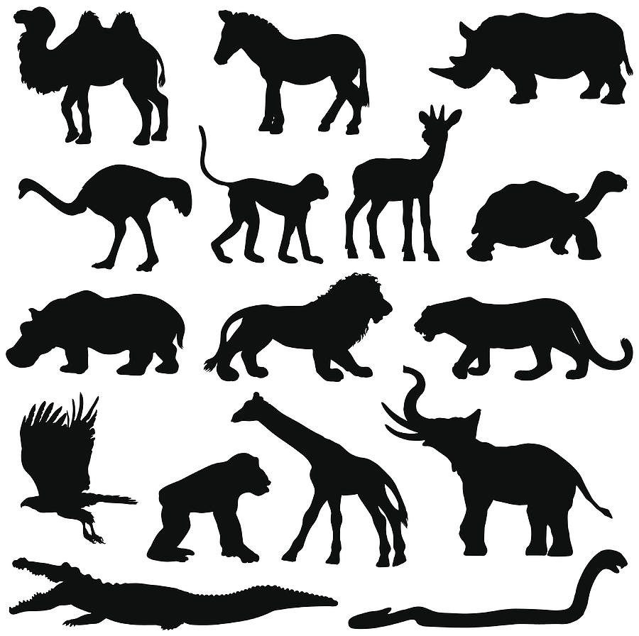 African animals silhouette collection #1 Drawing by Ace_Create