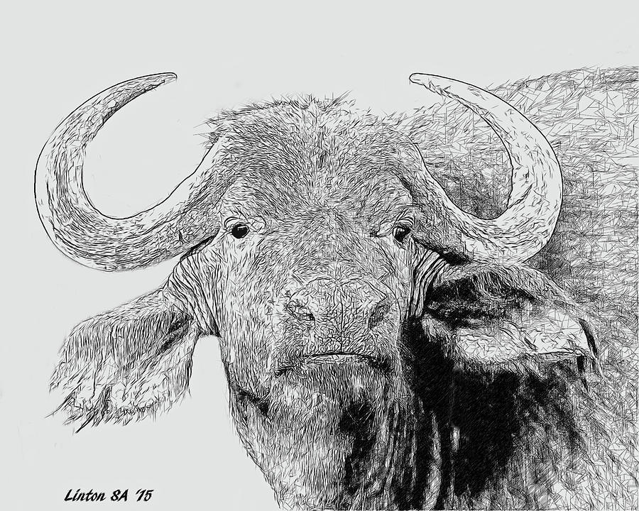 African Cape Buffalo #1 Digital Art by Larry Linton